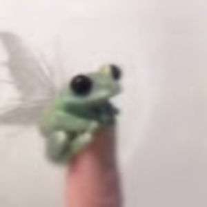 Meet your Posher, Carla